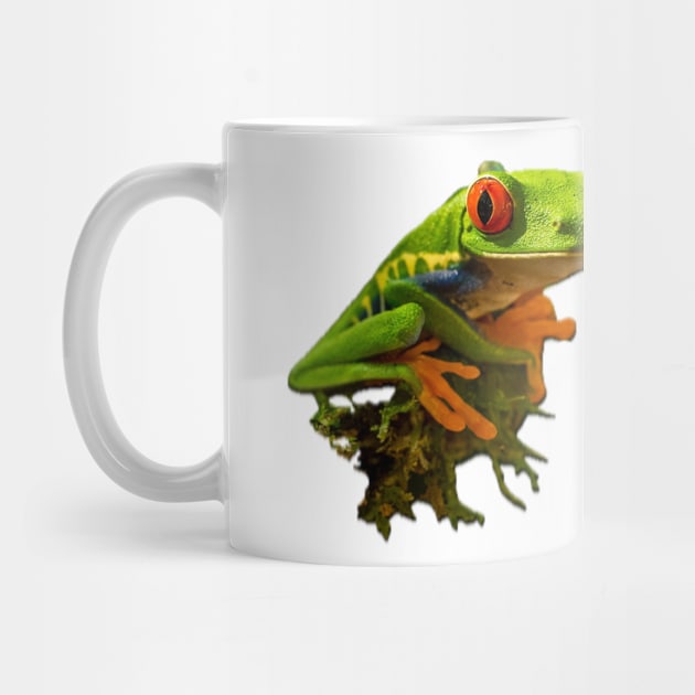 Green lake frog on the moss by CONCEPTDVS